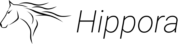 Logo de l'application